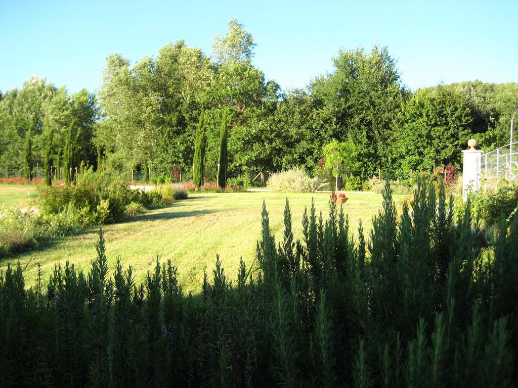 Agriturismo Il Molino Antico - 5 Girasoli Spoleto Exteriér fotografie